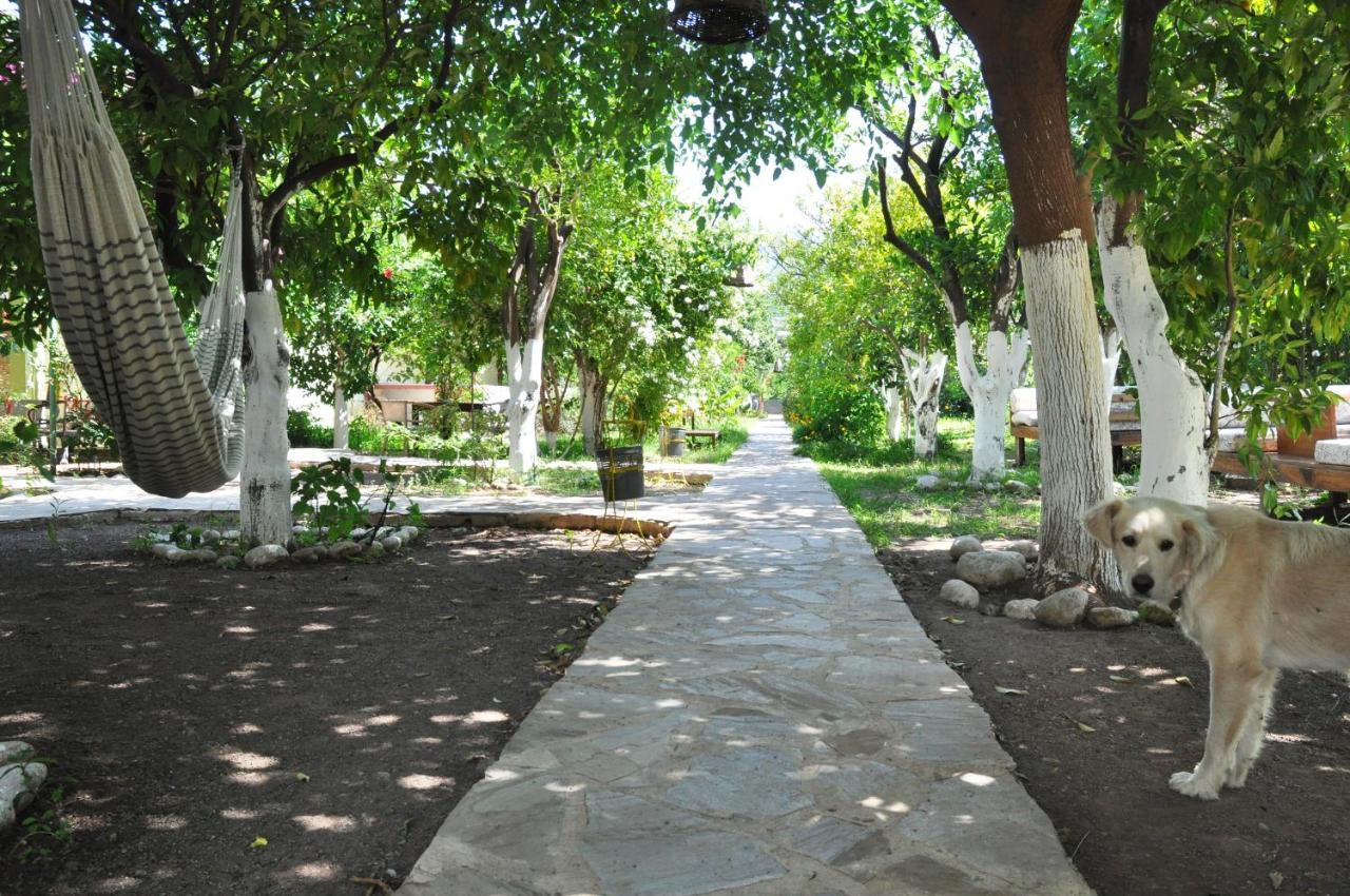 San Simon Hotel Çıralı Esterno foto
