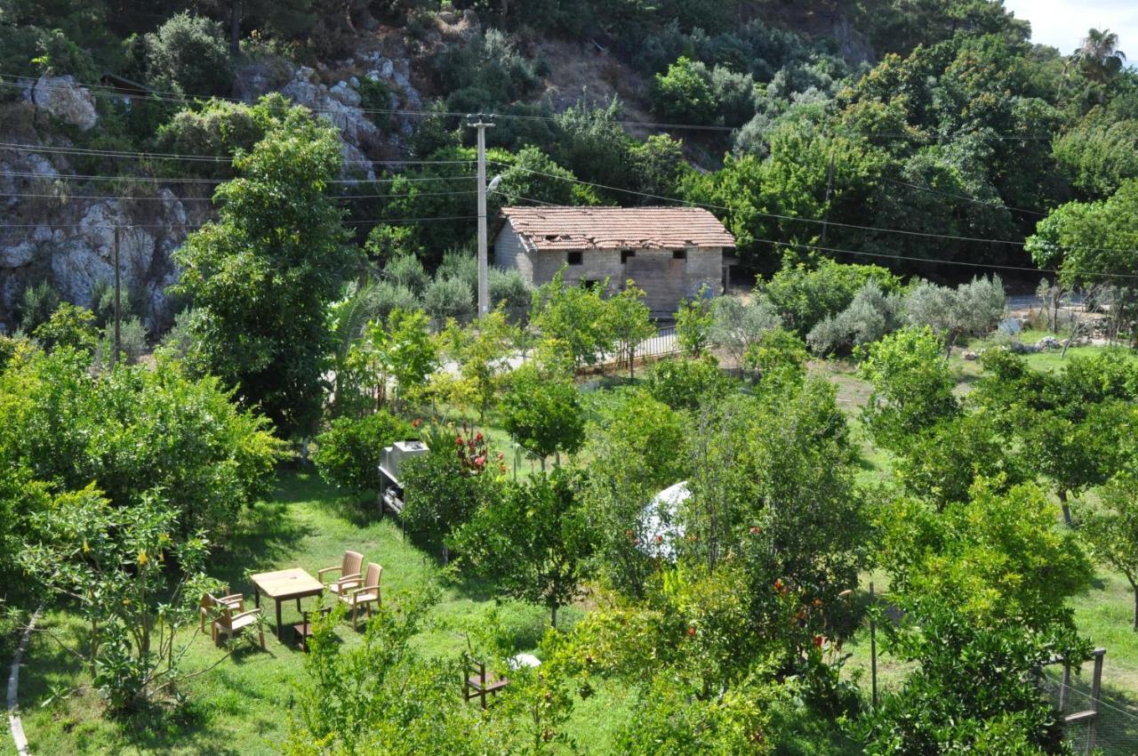 San Simon Hotel Çıralı Esterno foto